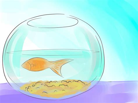 Jan 07, 2014 · 420 stoner tutorial: How to Clean a Fish Bowl (with Illustrations)