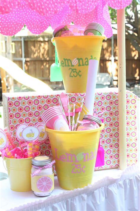 lemonade stand kit