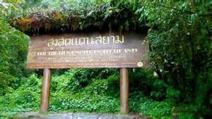 ธนนท์ จำเริญ ชื่อเล่น นนท์ เป็นนักร้องผู้ชนะจากรายการประกวดร้องเพลงถึง 2 รายการ คือ เดอะวอยซ์ไทยแลนด์ ซีซั่นที่ 1 และ the mask singer หน้ากากนักร้อง. "อินทนนท์"...สูงสุดสู่ดึกดำบรรพ์/ปิ่น บุตรี