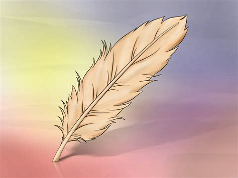 How To Draw A Feather 8 Steps With Pictures Wikihow