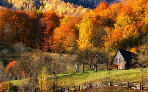 Fall Barns Nature Forest Grass Hill Landscape Trees Colorful Fence