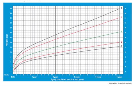 Gemiddelde Groei In Lengte And Gewicht Van Een Baby
