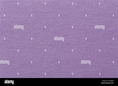Purple Paper Texture Stock Photo Alamy