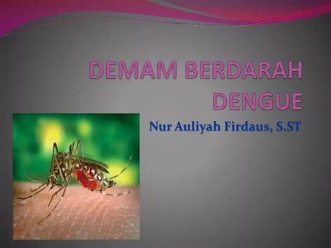 Ppt Demam Berdarah Dengue Powerpoint Presentation Free Download Id