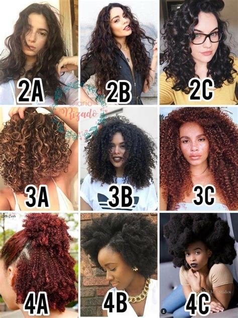 Hair Type Chart Tradingtiklo
