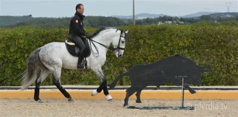 Working Equitation These Are The 10 Things You Need To Know