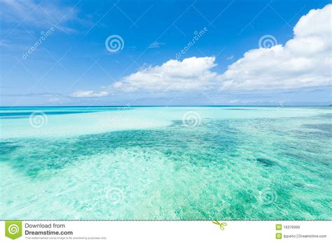 White Sand Tropical Beach Clear Blue Coral Water Stock Image Image