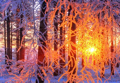 Winter Sunset In The Forest Henri Bonell Flickr
