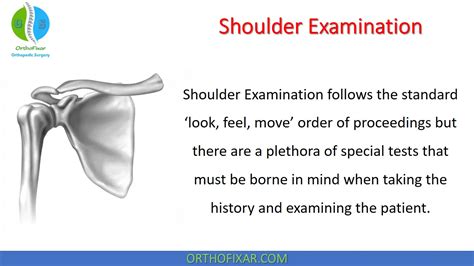 Shoulder Examination Easy Tutorial Orthofixar 2023