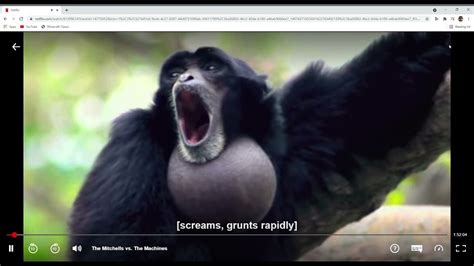 When The Screaming Gibbon Monkey Sus YouTube