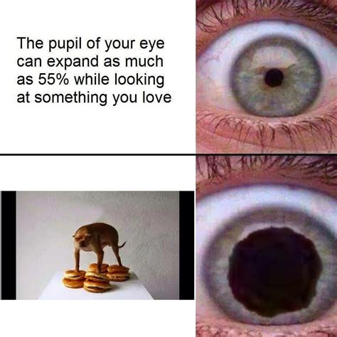 The Eye Meme By Goldpk Memedroid