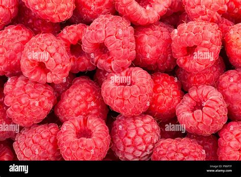 Raspberry Background Texture Stock Photo Alamy