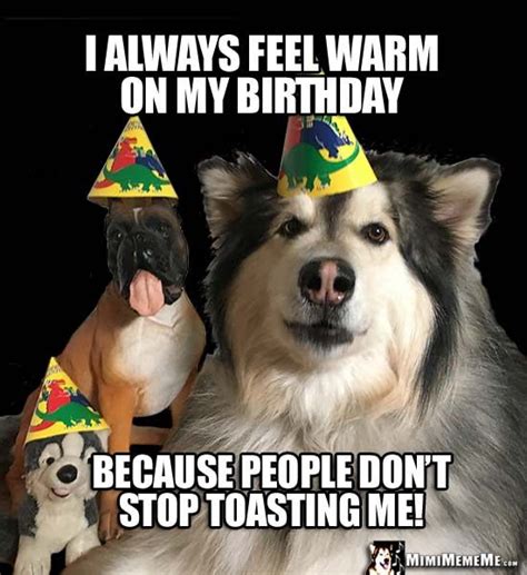 Party Dogs Joke I Always Feel Warm On My Birthday Because People Dont