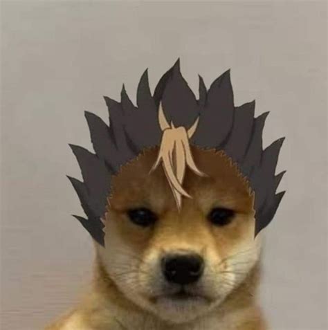 Pin By Madu Tavares On Pfps Frames And Headers In 2020 Anime Meme Face Haikyuu Manga Dog Icon