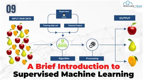 A Brief Introduction To Supervised Machine Learning