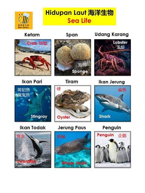 Tidak terhingga nilainya.ingin sekali aku menjenguk bagaimana kehidupan di dasar laut yang dipenuhi pelbagai jenis ikan,terumbu karang dan kehidupan lain. Bee Library: Kamus Bergambar Hidupan Laut