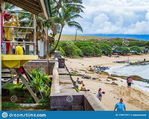 Ho Okipa Beach Park In Maui Hawaii Windsurfing Site Big Waves And Big