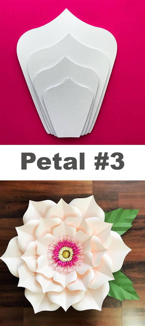 Paper Flowers With The Words Petal 3 In Front Of Them And An Image Of A