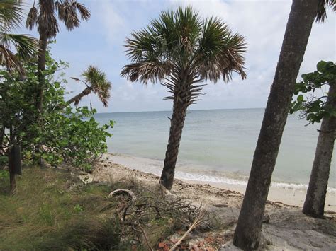 Cayo costa state park paradise awaits you at cayo costa state park, with nine miles of untouched beaches accessible only by boat. Paradise awaits you at Cayo Costa State Park, with nine ...