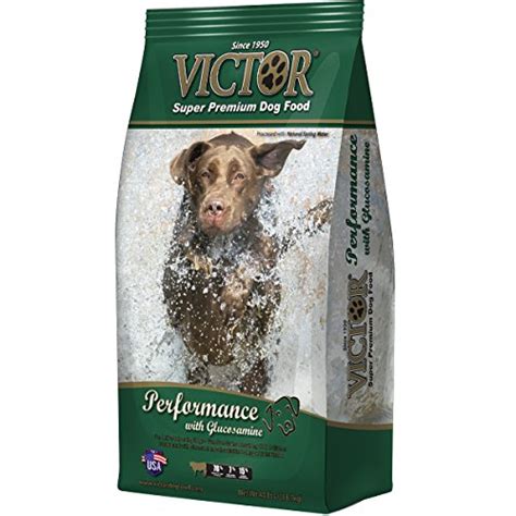 Which dogs might do better on a different brand? Victor Dog Food Reviews: Ingredients, Recall History and ...