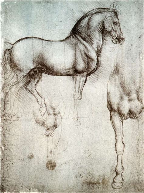 Leonardo Da Vinci Studio Anatomico Di Cavallo 1490 Circa Леонардо