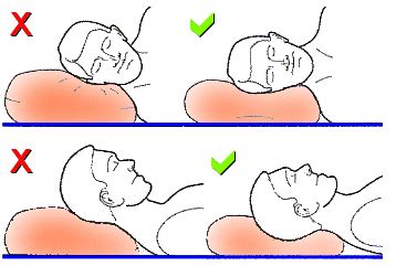 Although the pillow is decidedly firm, side. Pillows - Getting the right neck support - Suzanne Morgan ...