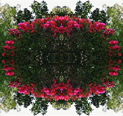 Wreath Of Flowers Free Stock Photo Public Domain Pictures