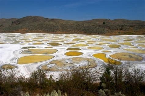 10 Things To Know About Khiluk The Spotted Lake Of British Columbia