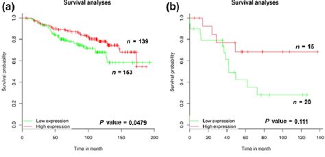 Kaplanmeier Km Survival Curves Of Breast Cancer And Lung