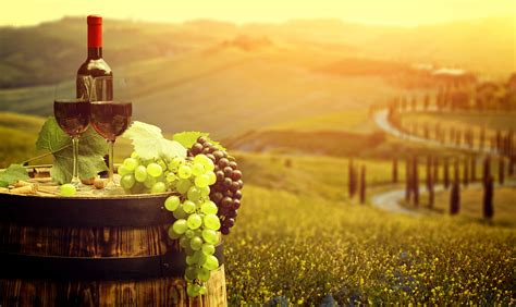 Love Wine Here Are The Top 10 Destinations For Wine Around The World