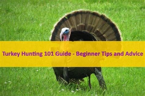 Turkey Hunting 101 Guide Beginner Tips And Advice Catch Them Easy