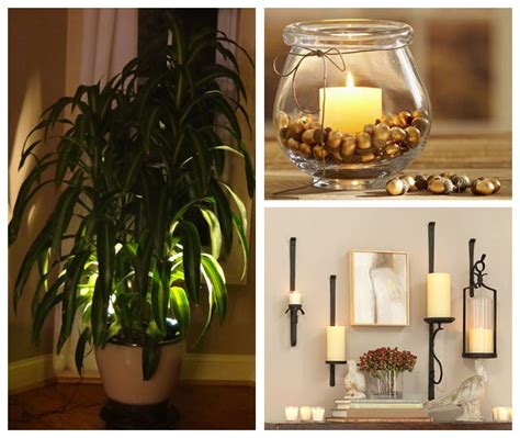 How long should i leave grow lights on? Indoor Plant Light Home Depot Review : Handy Home Design