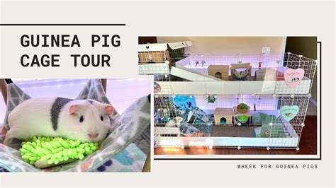 Guinea Pig Cage Tour Stacked Candc Cage Youtube