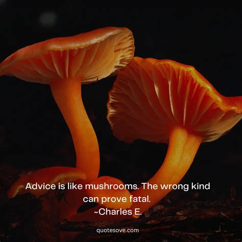 70 Best Mushroom Quotes From Natures Guardians Quotesove