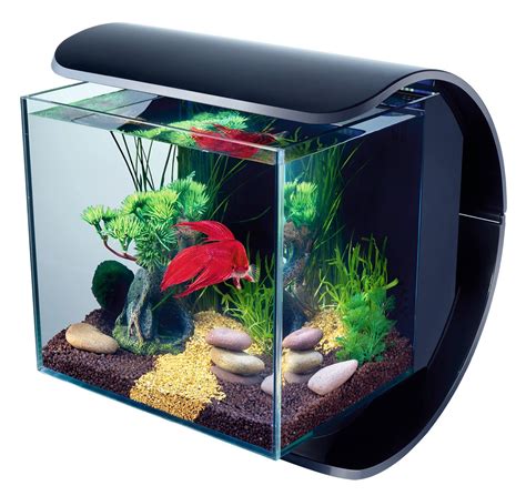 Petit Aquarium Combattant Aquarium Idéal Pour Combattant Succed