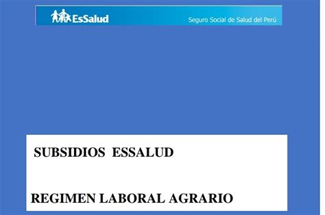 Manual Laboral Manualsubsidios Essalud Regimen Laboral Agrario 2020