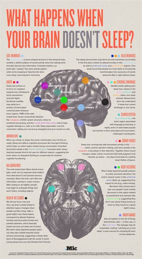 This Is Your Brain On Not Enough Sleep Infographic Sleep