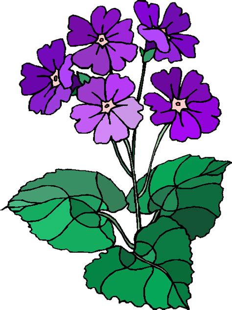 Flowering Plants Clipart 20 Free Cliparts Download Images On