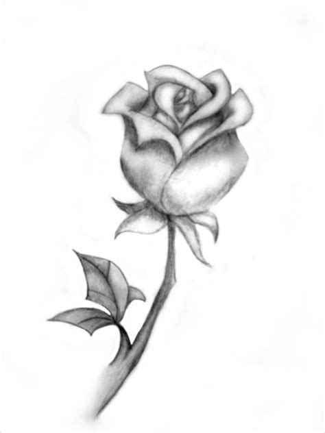 My Black Rose Realistic Other For Sale By Rimatoya2003 Foundmyself