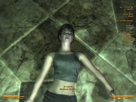 Female Enclave Soldiers At Fallout 3 Nexus Mods And Community