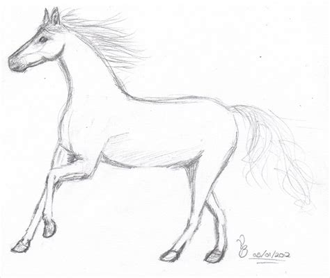 Simple Running Horse Drawing Easy Realistic Horse Head Drawing