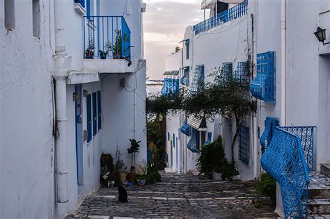 Hd Wallpaper Tunis Tunisia Sidi Bou Said Sea Color Cafe Port