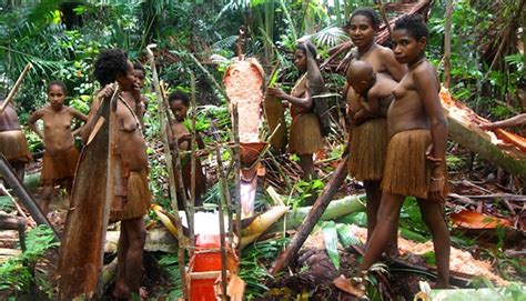 Facts About Korowai Tribe In Southern Papua Authentic Indonesia Blog