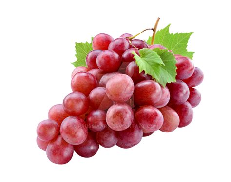 Red Grapes On A Transparent Background By Prussiaart On Deviantart