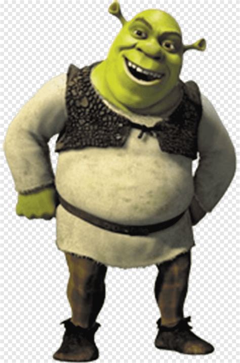 Princesa Fiona Shrek El Gato Musical Con Botas Burro Shrek H Roes Personaje De Ficci N Png