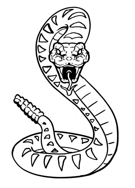 Check free printable snake coloring pages. Cartoon Snake Coloring Pages at GetColorings.com | Free ...
