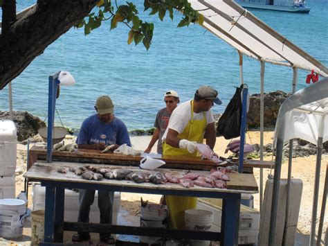 caribbean fish market near me - Tamatha Petit