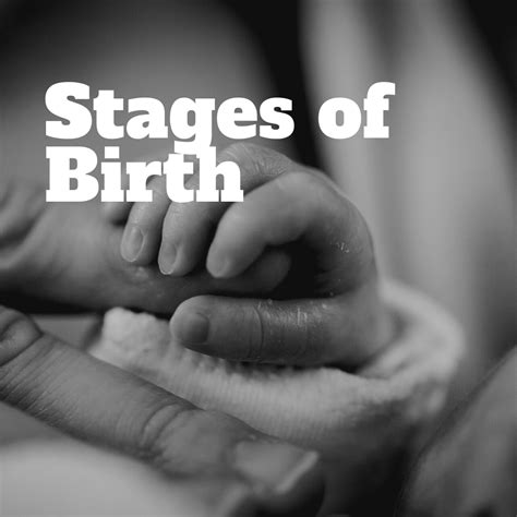 Stages Of Birth Touching Life