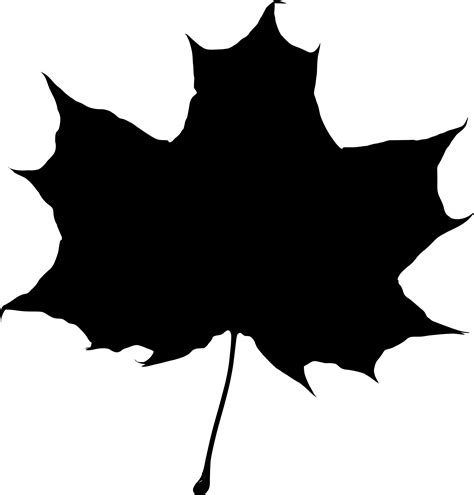 Leaf Clipart Black And White Free Download On Clipartmag