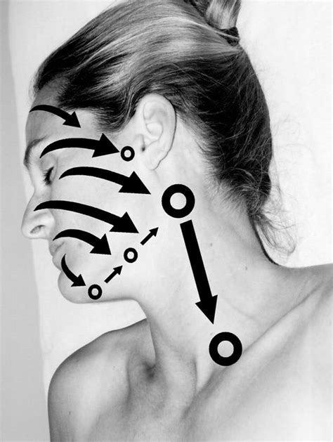 Lymphatic Facial Drainage Pattern Lymph Massage Lymphatic Drainage Massage Lymphatic Massage